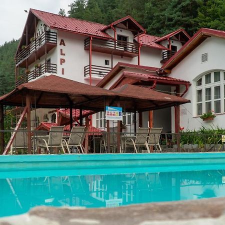 Pensiunea Alpin Păltiniş Kültér fotó