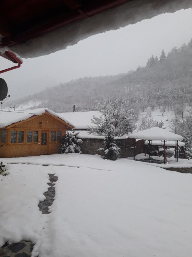 Pensiunea Alpin Păltiniş Kültér fotó