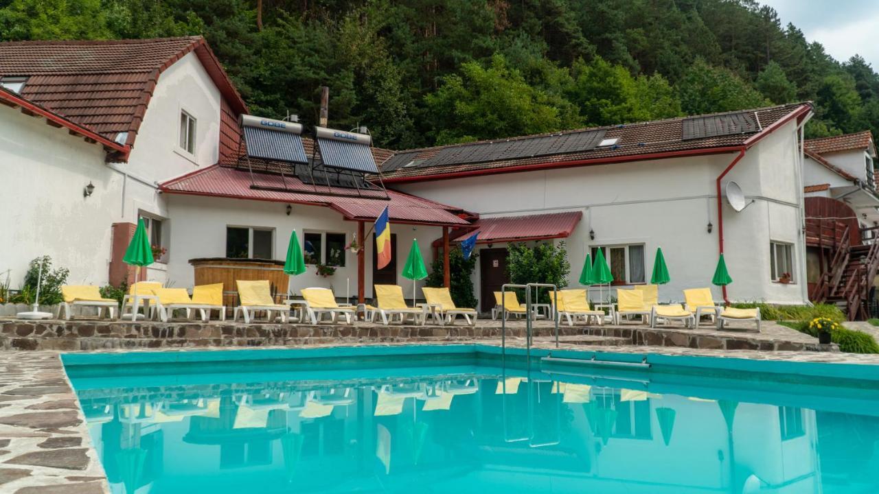 Pensiunea Alpin Păltiniş Kültér fotó