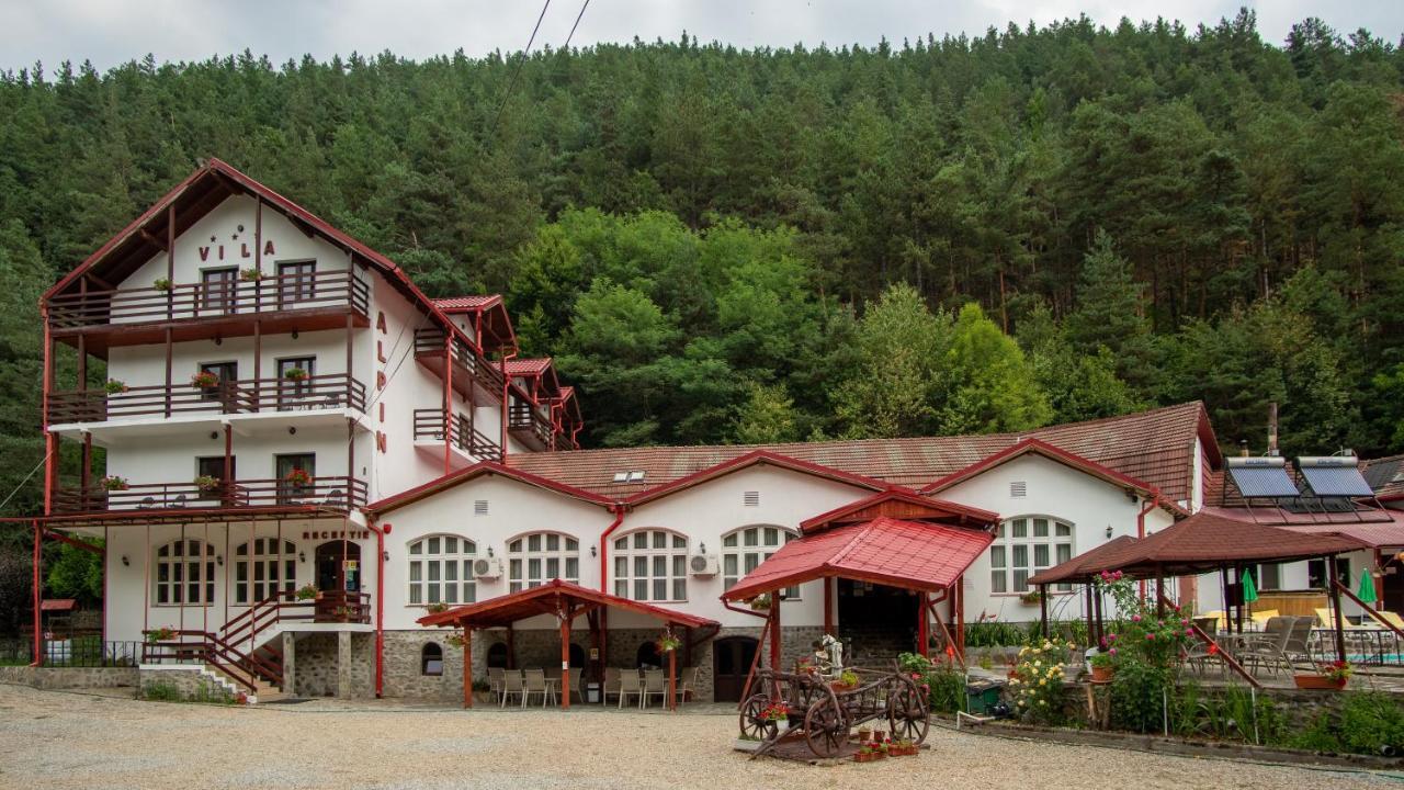 Pensiunea Alpin Păltiniş Kültér fotó