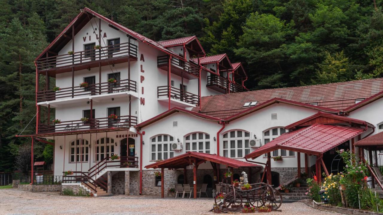 Pensiunea Alpin Păltiniş Kültér fotó