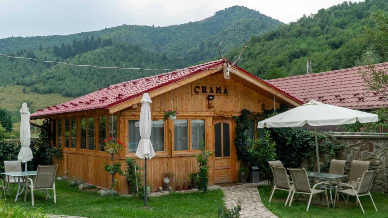 Pensiunea Alpin Păltiniş Kültér fotó
