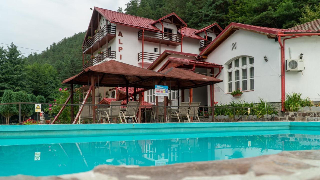Pensiunea Alpin Păltiniş Kültér fotó