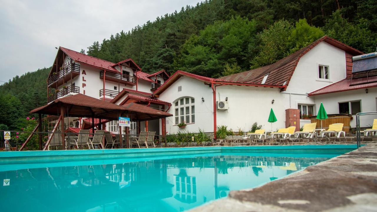 Pensiunea Alpin Păltiniş Kültér fotó