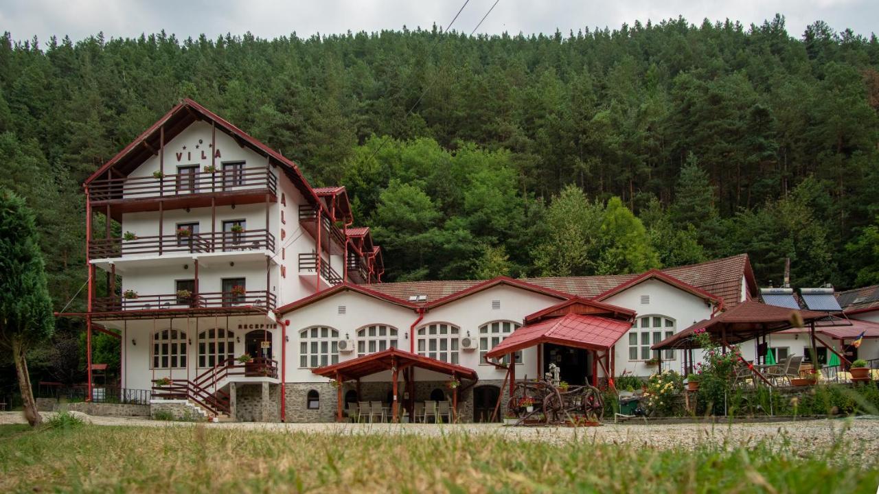 Pensiunea Alpin Păltiniş Kültér fotó