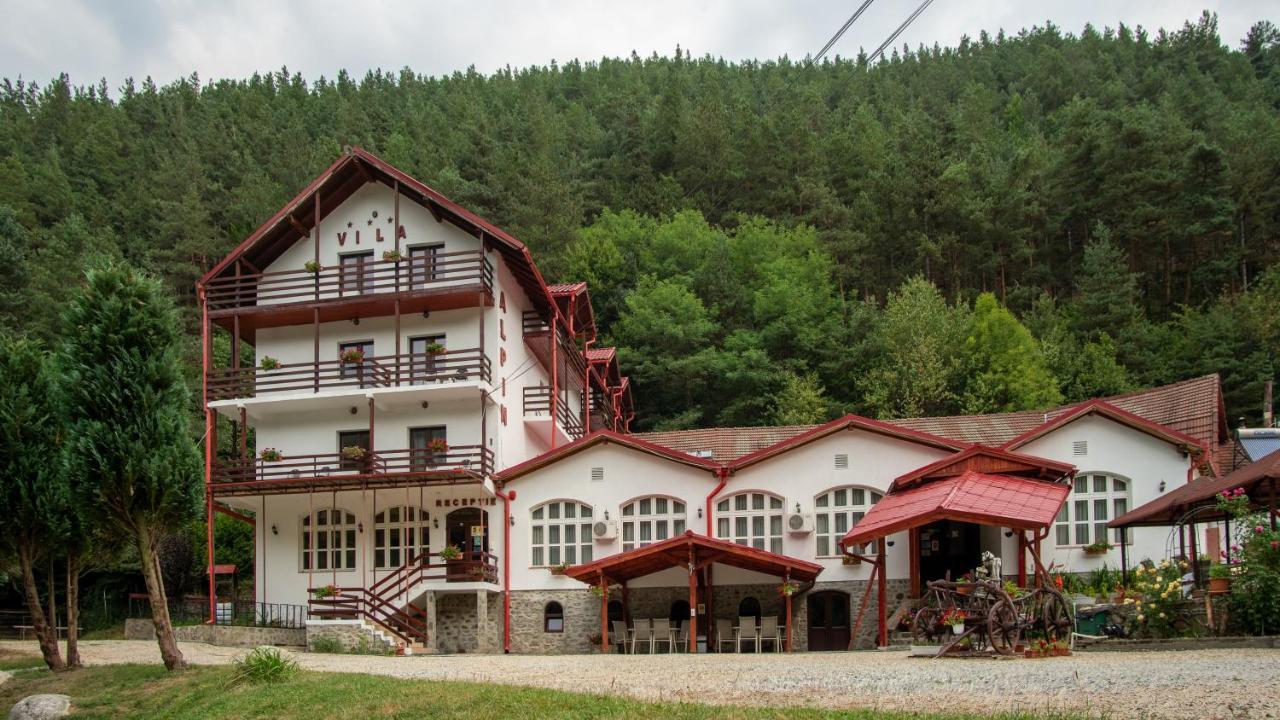 Pensiunea Alpin Păltiniş Kültér fotó