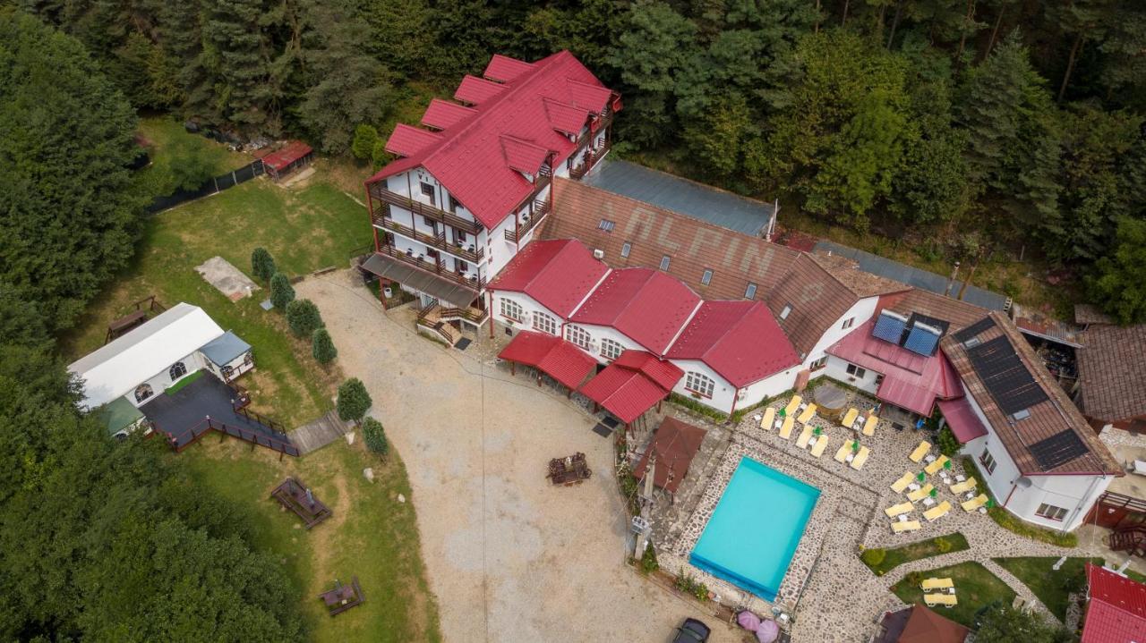 Pensiunea Alpin Păltiniş Kültér fotó